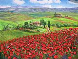 TUSCANY POPPIES